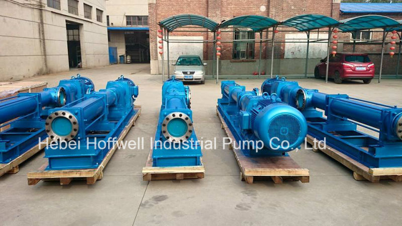 CE Approved G Sewage Helical Rotor Pump
