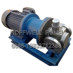 Cast Iron Magnetic Drive External Gear Pump for Oil