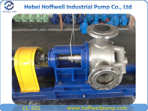 5 Inch Stainless Steel NYP Internal Gear Pump