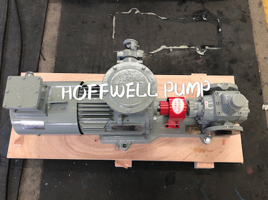 Cast Iron Lube Oil YCB External Gear Pump